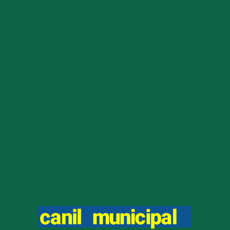 canil municipal porto alegre